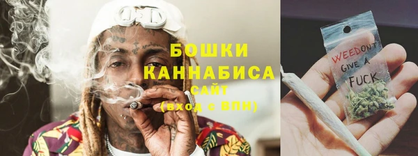 крисы Корсаков