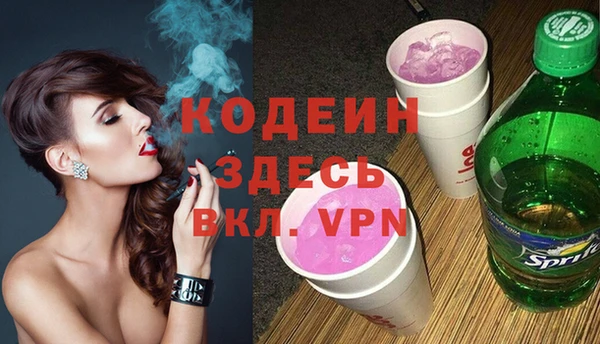 крисы Корсаков