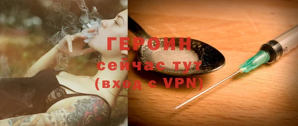 крисы Корсаков