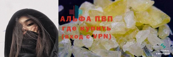 гашик Коряжма