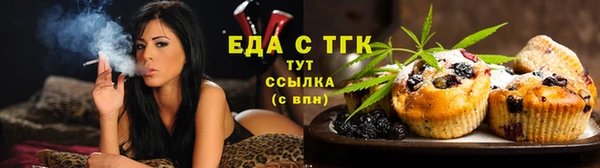 крисы Корсаков