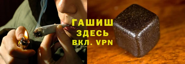 крисы Корсаков