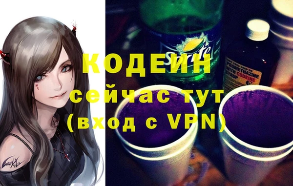 крисы Корсаков