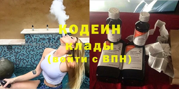 крисы Корсаков
