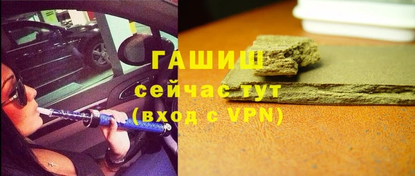 крисы Корсаков