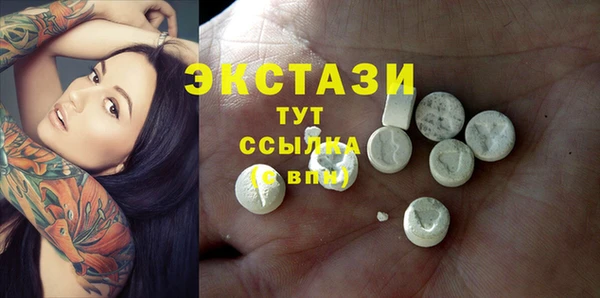 крисы Корсаков