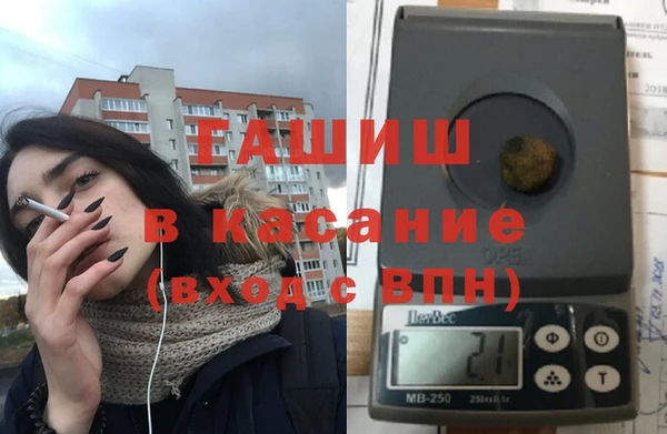 крисы Корсаков