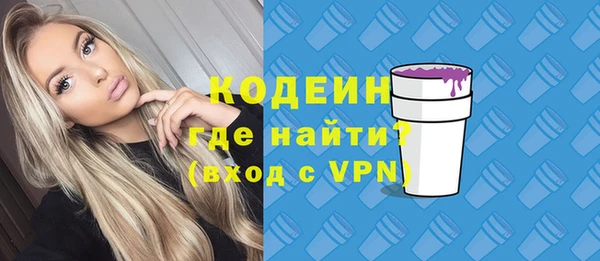 крисы Корсаков