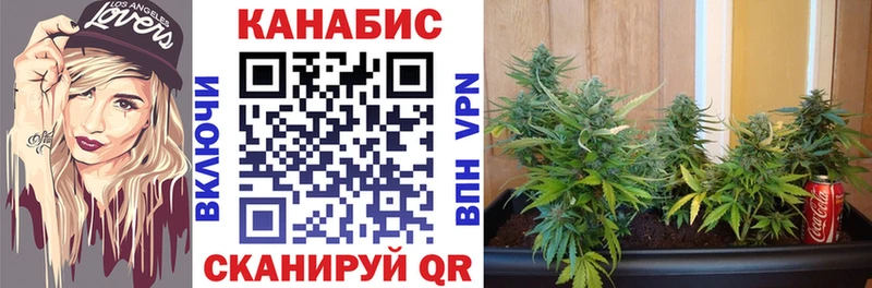 Конопля конопля  Красноперекопск 